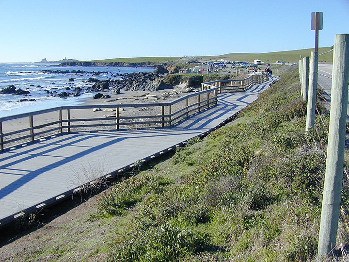 walkway, beach with elephant seals on it
